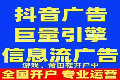 解析某某SEM服务公司的广告投放策略与效果评估